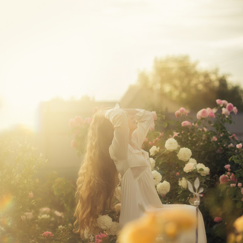 Photo #13824768