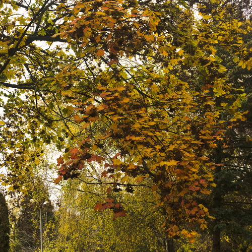 Photo #13824836