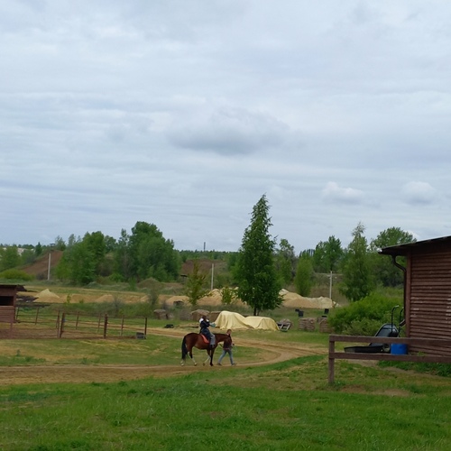 Photo #13824921