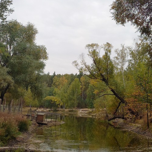 Photo #13824935