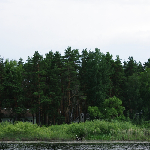 Photo #13824963