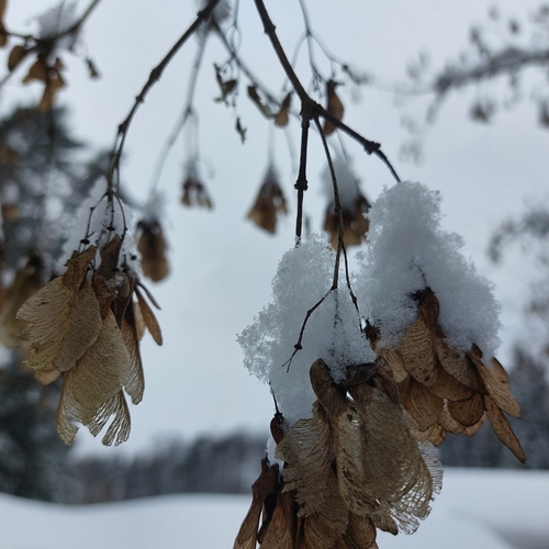 Photo #13824976