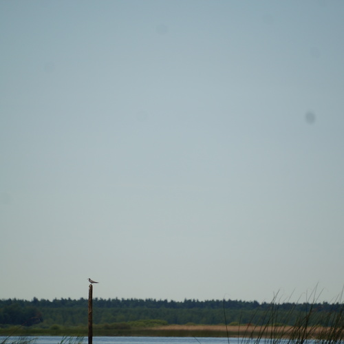 Photo #13824982