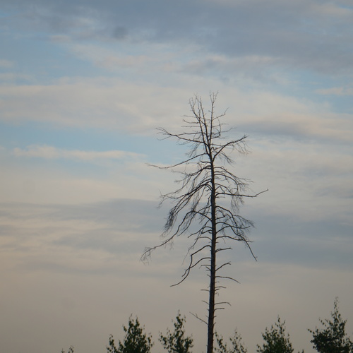Photo #13824984
