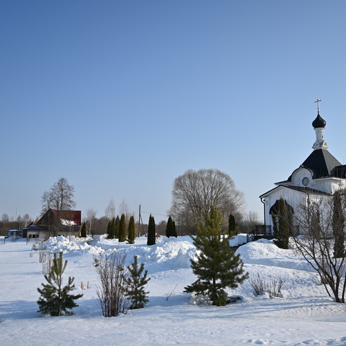 Photo #13825212