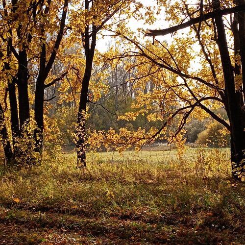 Photo #13825213