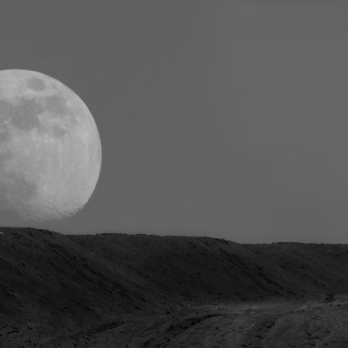 Photo #13825239