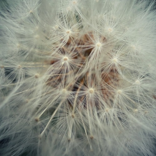 Photo #13825242
