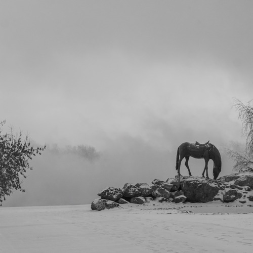 Photo #13825246