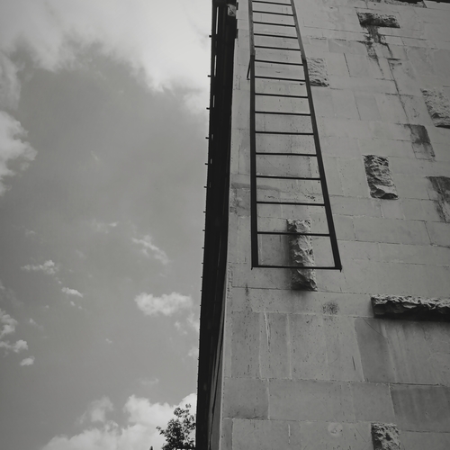 Photo #13825289