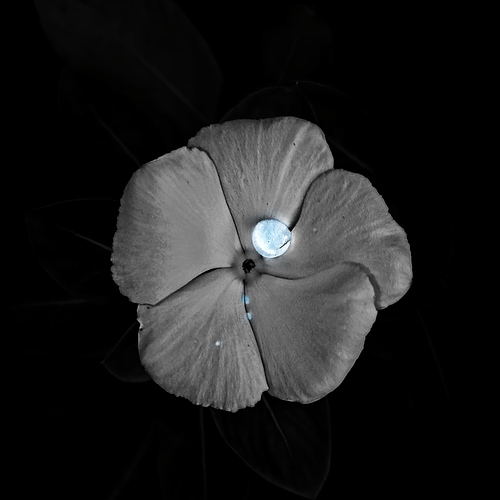 Celestial tear