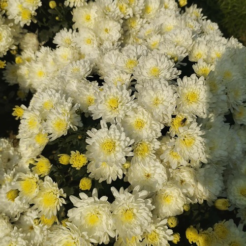 Photo #13825370