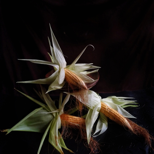 Harvest