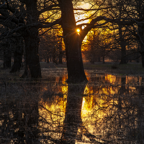 Photo #13825621