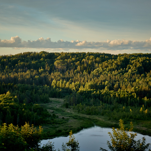 Photo #13825626
