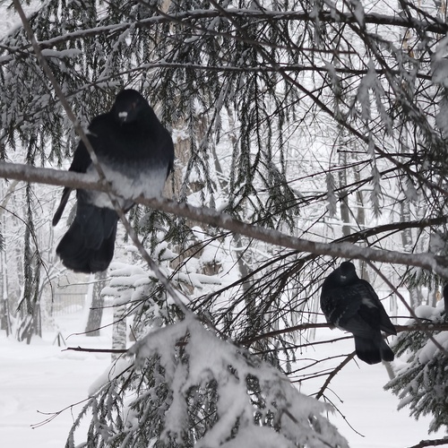 Photo #13825748