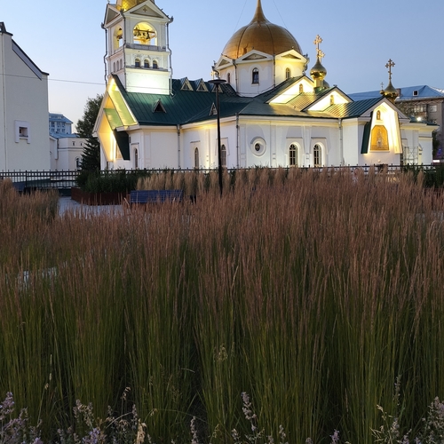 Photo #13825776