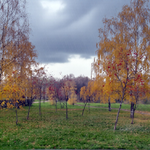 Photo #13825780
