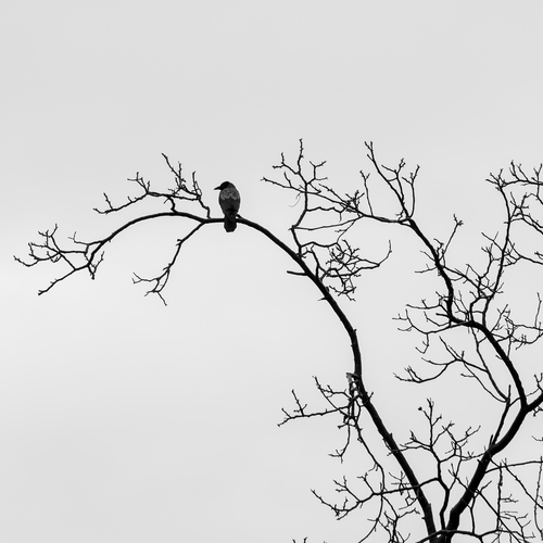 Photo #13825942