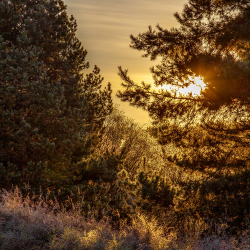 Photo #13826016