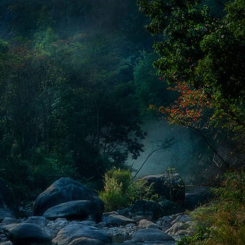 Photo #13826133