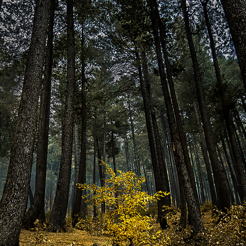 Photo #13826149