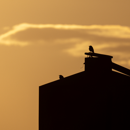 Photo #13826334
