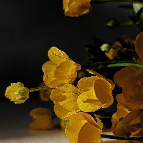 Photo #13826337