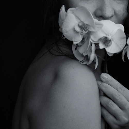 Photo #13826422