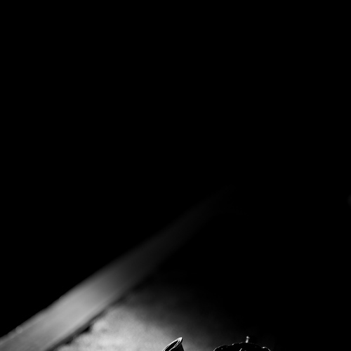 Photo #13826801