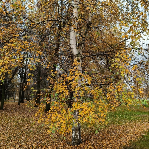 Photo #13826952