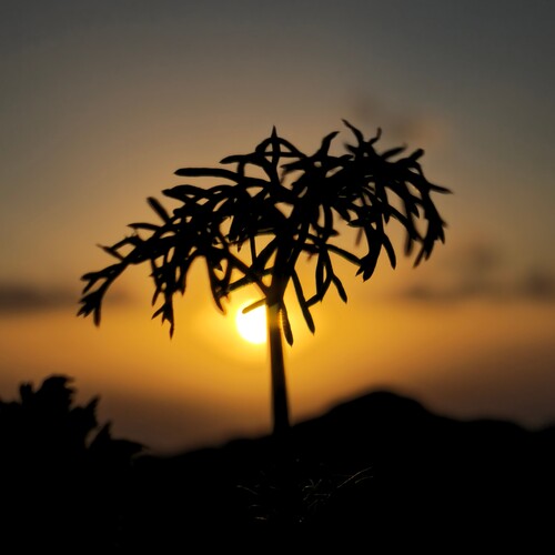 Photo #13826962