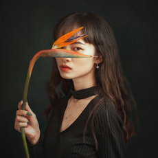 Hoang Viet Nguyen