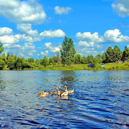 Photo #13827039