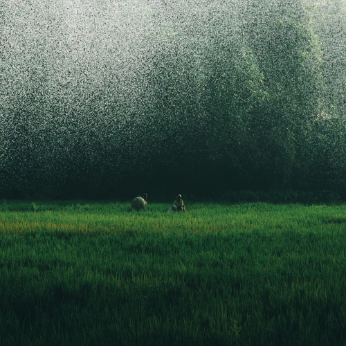 Photo #13827213