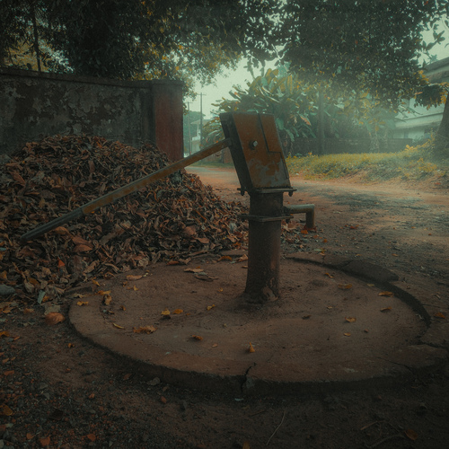 Photo #13827214