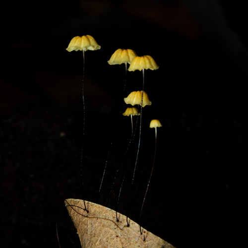 Photo #13827344