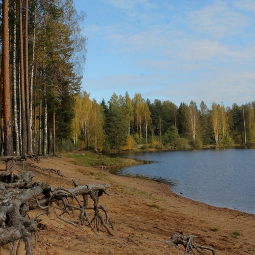 Photo #13827351