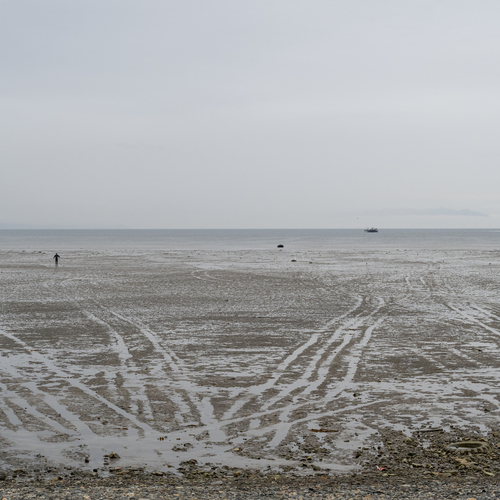 Photo #13827359