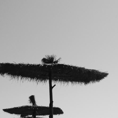 Photo #13827396