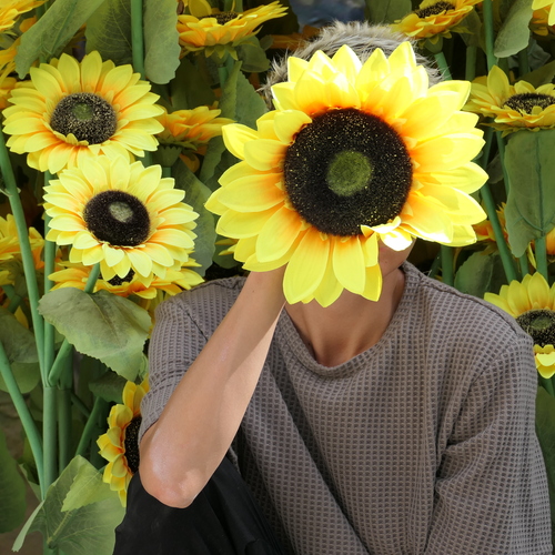 Photo #13827605