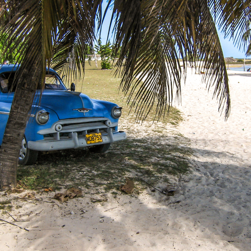 Photo #13827630