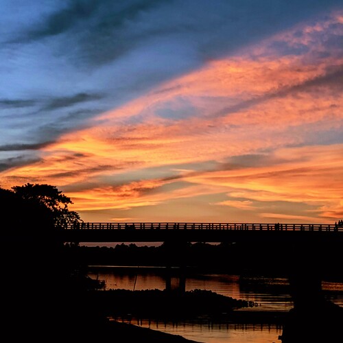 Photo #13827756