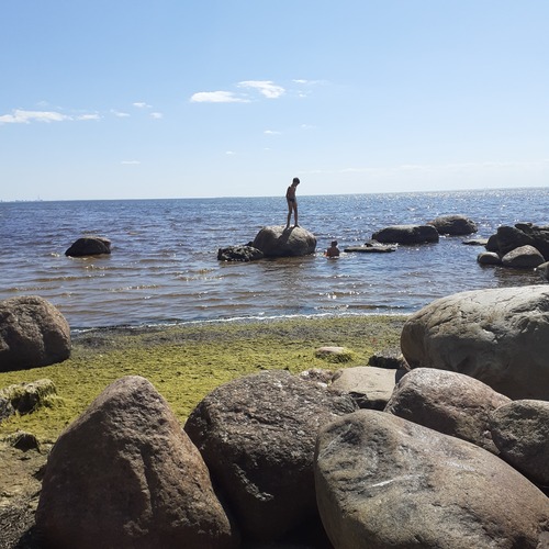 Photo #13827780