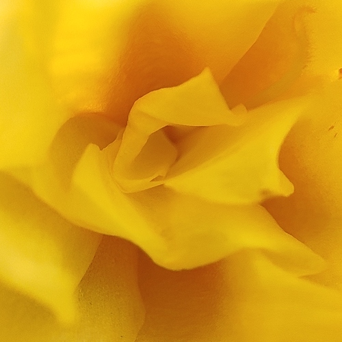Photo #13828361