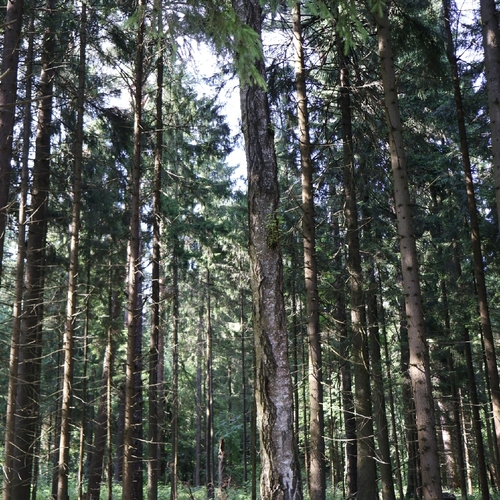 Photo #13828440