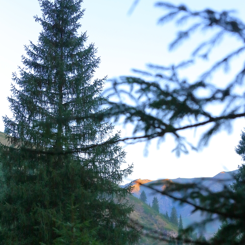 Photo #13828548