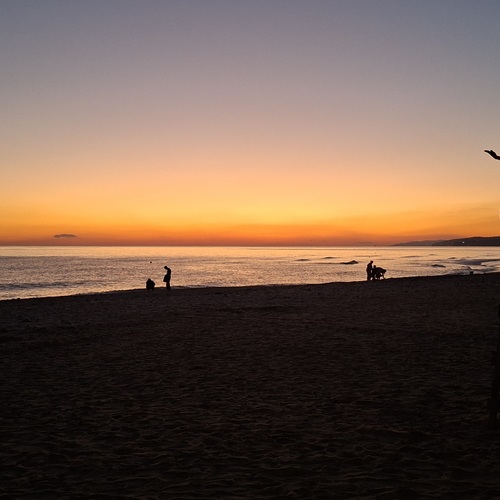 Photo #13828616