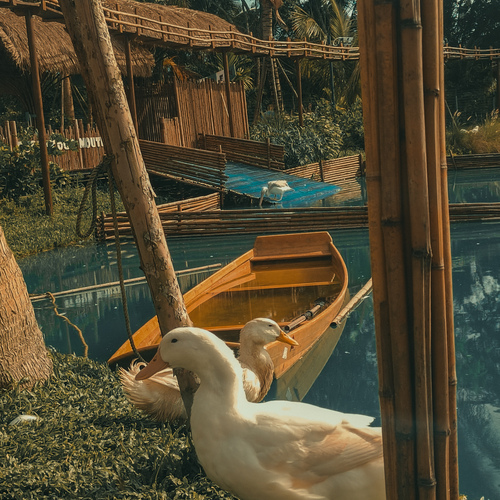 Photo #13828638