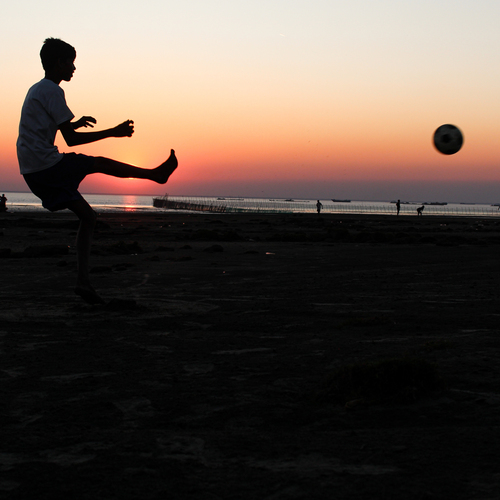 Photo #13828641